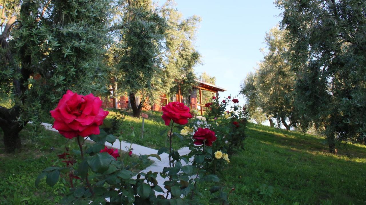 Hotel Agroturizem Bylis Hekal Esterno foto