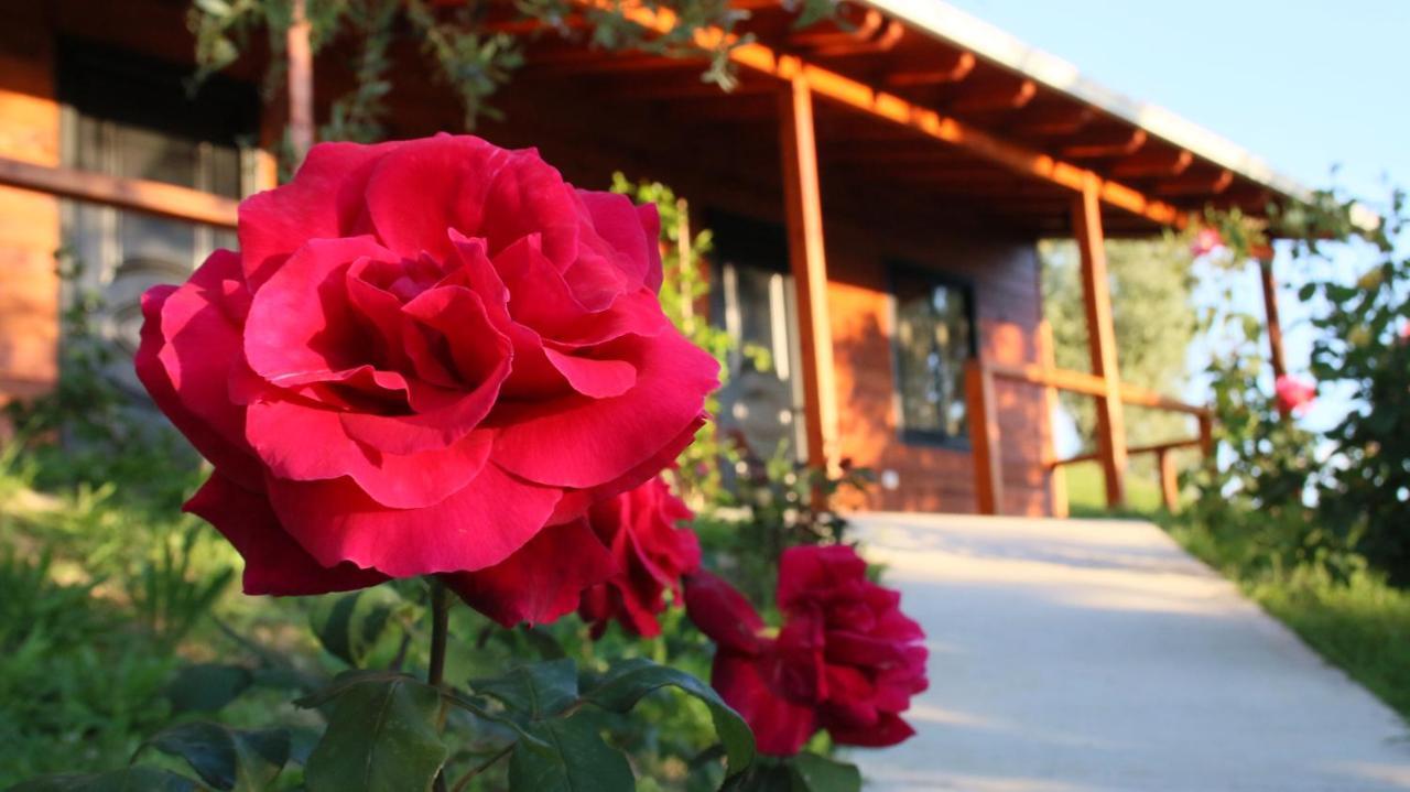 Hotel Agroturizem Bylis Hekal Esterno foto