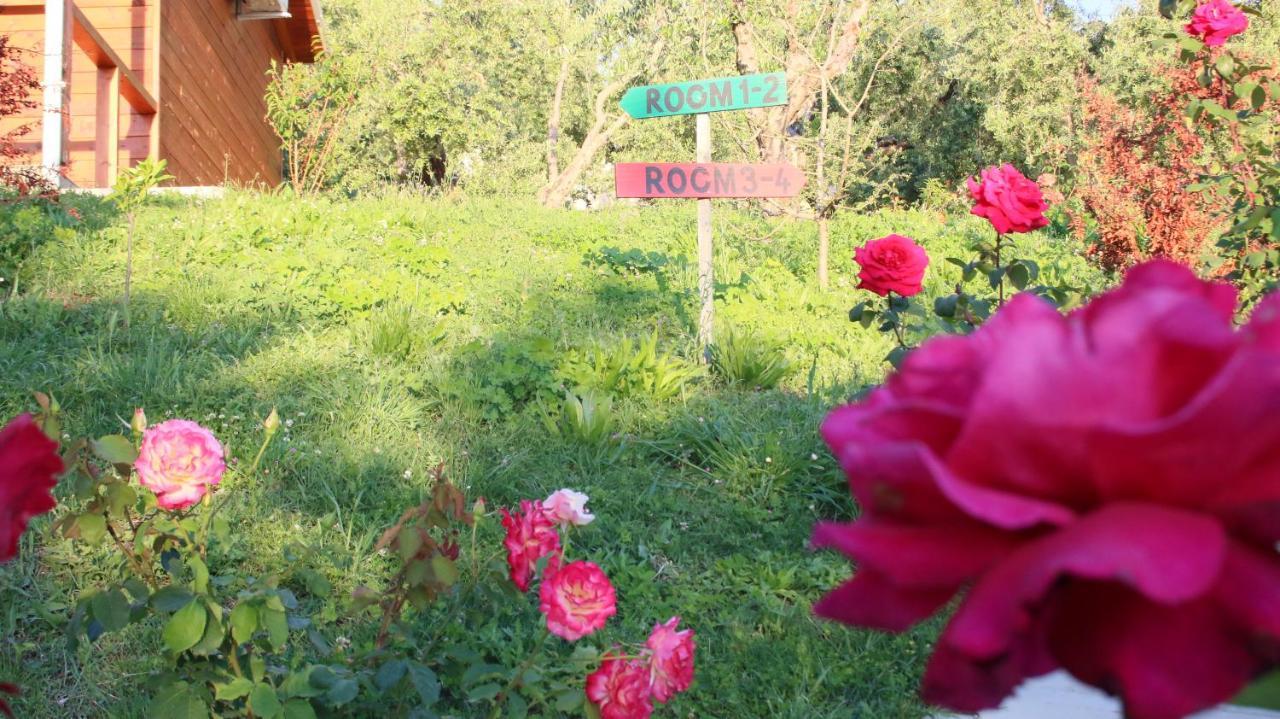 Hotel Agroturizem Bylis Hekal Esterno foto