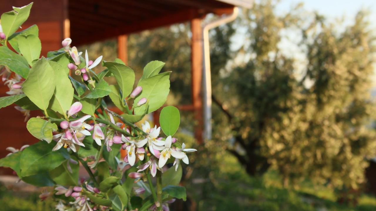 Hotel Agroturizem Bylis Hekal Esterno foto