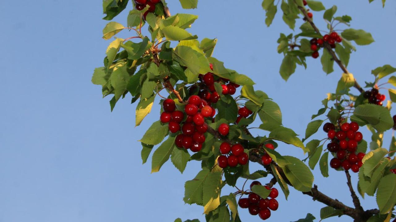 Hotel Agroturizem Bylis Hekal Esterno foto