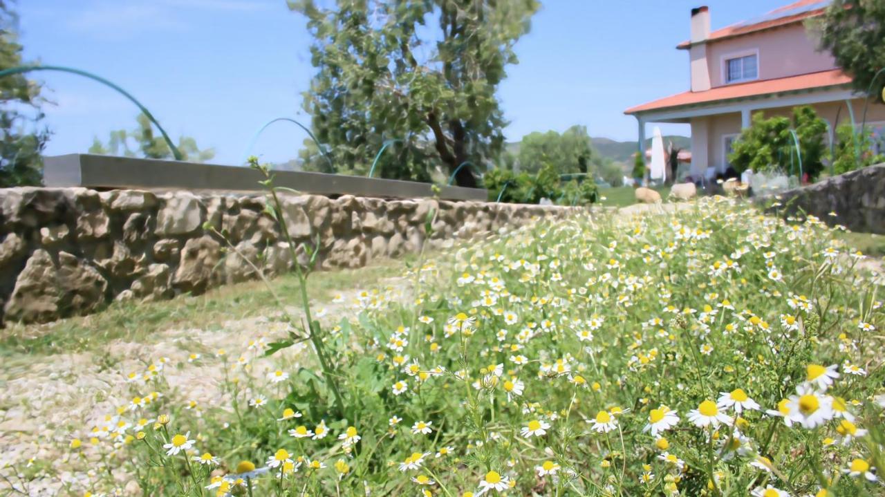 Hotel Agroturizem Bylis Hekal Esterno foto