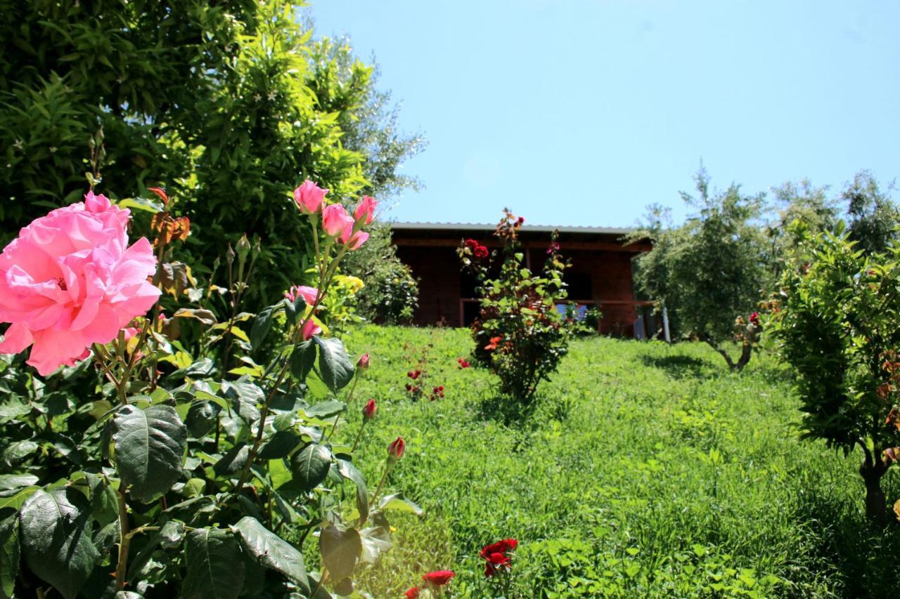 Hotel Agroturizem Bylis Hekal Esterno foto